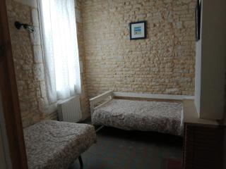 Le Logis de la Venise Verte - Saint-Hilaire-la-Palud - 1