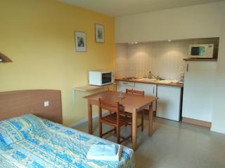 Studio proche des thermes en rez-de-chaussée avec place de parking - Bagnères-de-Bigorre - 9