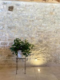 Clos De La Charnaille - Cousance - 2