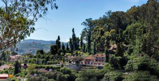 Club Mahindra Danish Villa, Ooty - 5