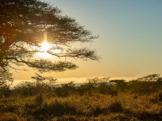 Zululand Lodge - Hluhluwe - 7