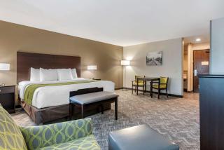 Comfort Inn & Suites Tualatin - Lake Oswego South - Tualatin - 9