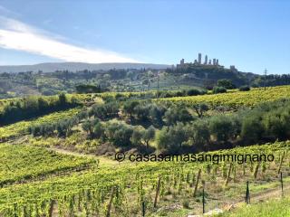 Charming House - Parking included - San Gimignano - 7