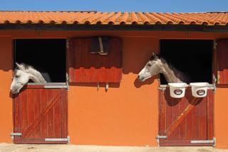 Quinta da Bicuda - Cascais - 6