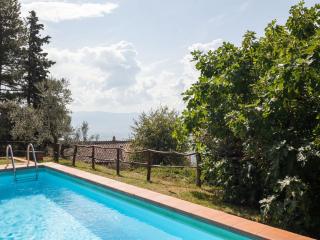 Belvilla by Oyo flat in farmhouse with pool - Pian di Scò - 3