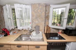 Family Wellness Jacuzzi Sauna Wood Fired Hot Tub 8 Min from Heviz - Rezi - 5
