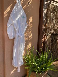 Sierra Grande Lodge & Spa - Truth or Consequences - 5