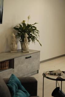 Uzhorod 3 room lovely house - 7