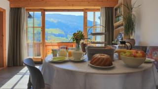Landhaus Hinteregg Apartment - Schladming - 1