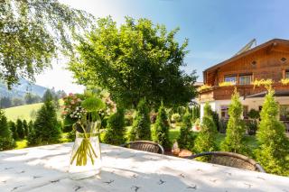 Landhaus Hinteregg Apartment - Schladming - 8
