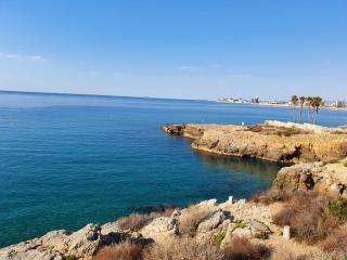 Estrena loft en el mejor sitio de Tarragona - Tarragona - 1