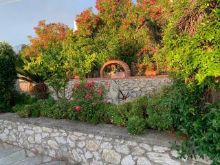 Il Merlo - Anacapri - 4