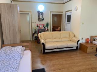 Apartman Pejica - 6