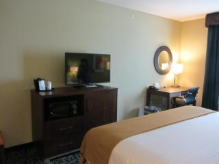 Holiday Inn Express Hotel and Suites Monahans I-20 by IHG - Monahans - 5