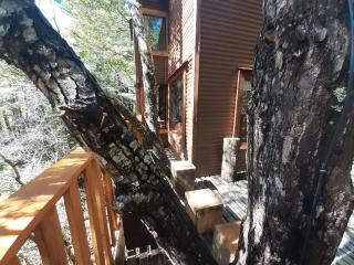 Domos Entre Bosques - 1