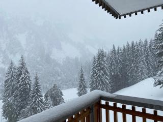 Hotel Garni Enzian - 5