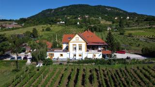 Bacchus Apartman - Borbarlang, Badacsony - Badacsonytomaj - 8