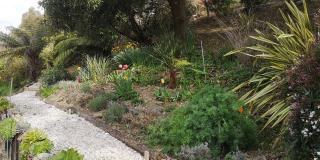 Moana Haven B&B - Havelock - 5