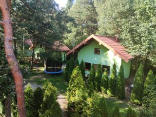 niezapominajka-jura - 0