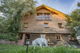 Little Graceland Ferienwohnung und Bed&Breakfast - Bonndorf im Schwarzwald - 8