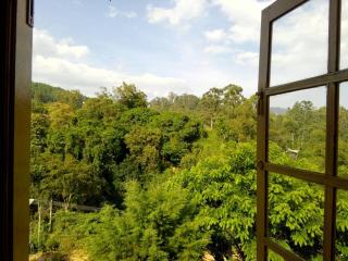 Green View Ella - 0