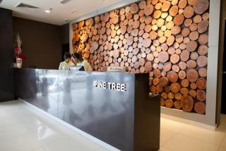 Pine Tree Hotel - 3