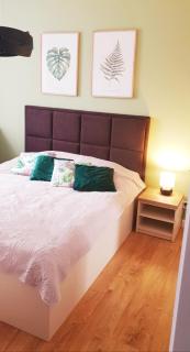 Apartament Zielony - Okrzei (Garaż, Targi) - Kielce - 0