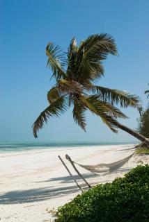 Breezes Beach Club and Spa - Bwejuu - 7