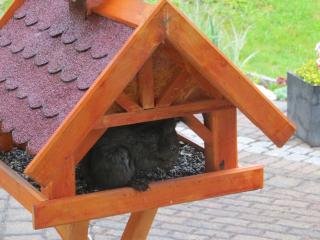 Ferienwohnungen Breternitz - 2