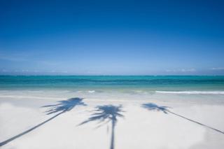 Baraza Resort and Spa Zanzibar - 6