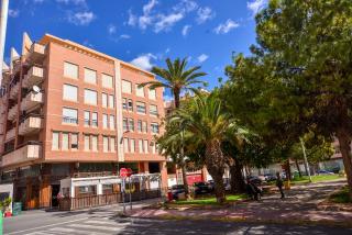 Holiday Studio Jardin Playa - Torrevieja - 9
