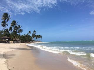Flat Carneiros Beach Resort - Tamandaré - 7