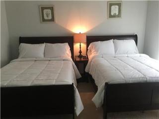 Gorgeous Furnished Apartments near Texas Medical Center & NRG Stadium - Houston - 7