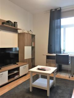 Ferienwohnung Leutzsch am Leipziger Auenwald - Leipzig - 9
