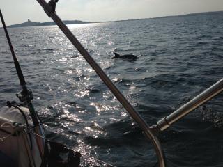 Boat & Sailing Torregrande Sinis Yachting - Oristano - 8
