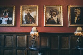 Rowton Castle - Shrewsbury - 4
