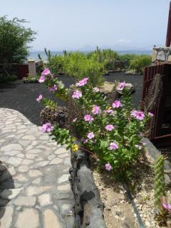 Coin de Paradis,Pavillon Doucimar - 3