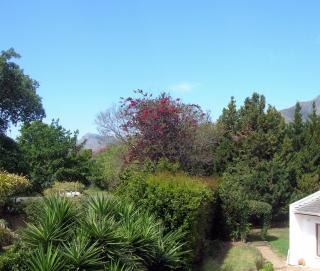 16 Rhodes-North Self Catering Apartment & Studio - Stellenbosch - 1