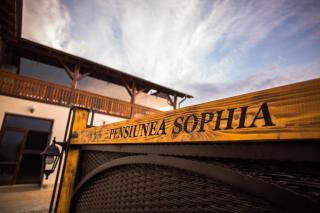 Pensiunea Sophia - 9