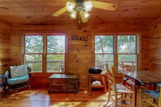 Cabin Sweet Cabin - Blue Ridge - 2