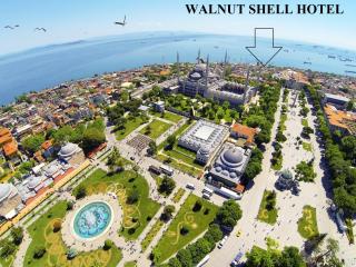 Walnut Shell Hotel Sultanahmet - Istanbul - 8