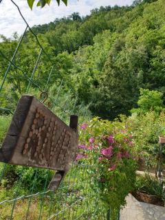 Collina e mare - Camogli - 2