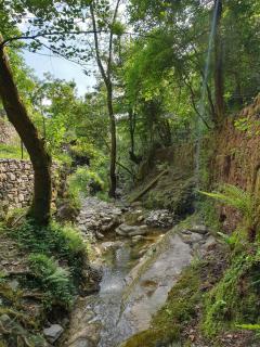 Collina e mare - 3
