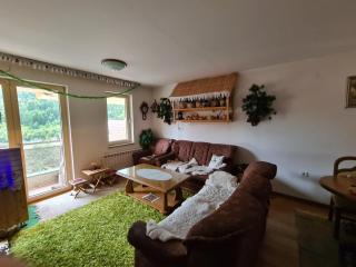 BJELASNICA APARTMAN SA GARAZNIM MJESTOM - Bjelašnica - 7