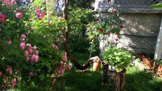Belivanovi B&B House - Veliko Tarnovo - 9