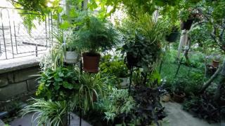Belivanovi B&B House - Veliko Tarnovo - 5
