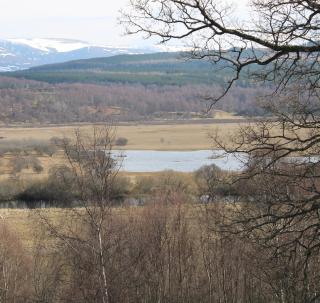Skye Cottage, Meadowside House, near Kingussie - Kingussie - 1