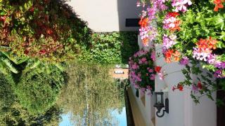 Rožmberk Royale Pension - Rožmberk nad Vltavou - 8