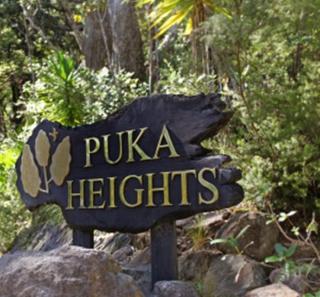 Puka Heights - Pauanui - 9
