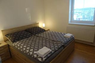 Apartmán Borůvka - Česká Kamenice - 7